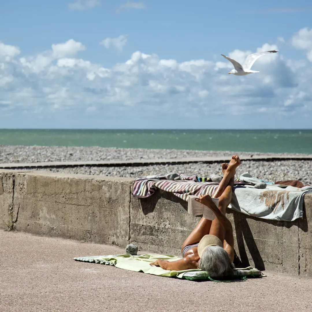 La mouette de Tchekhov